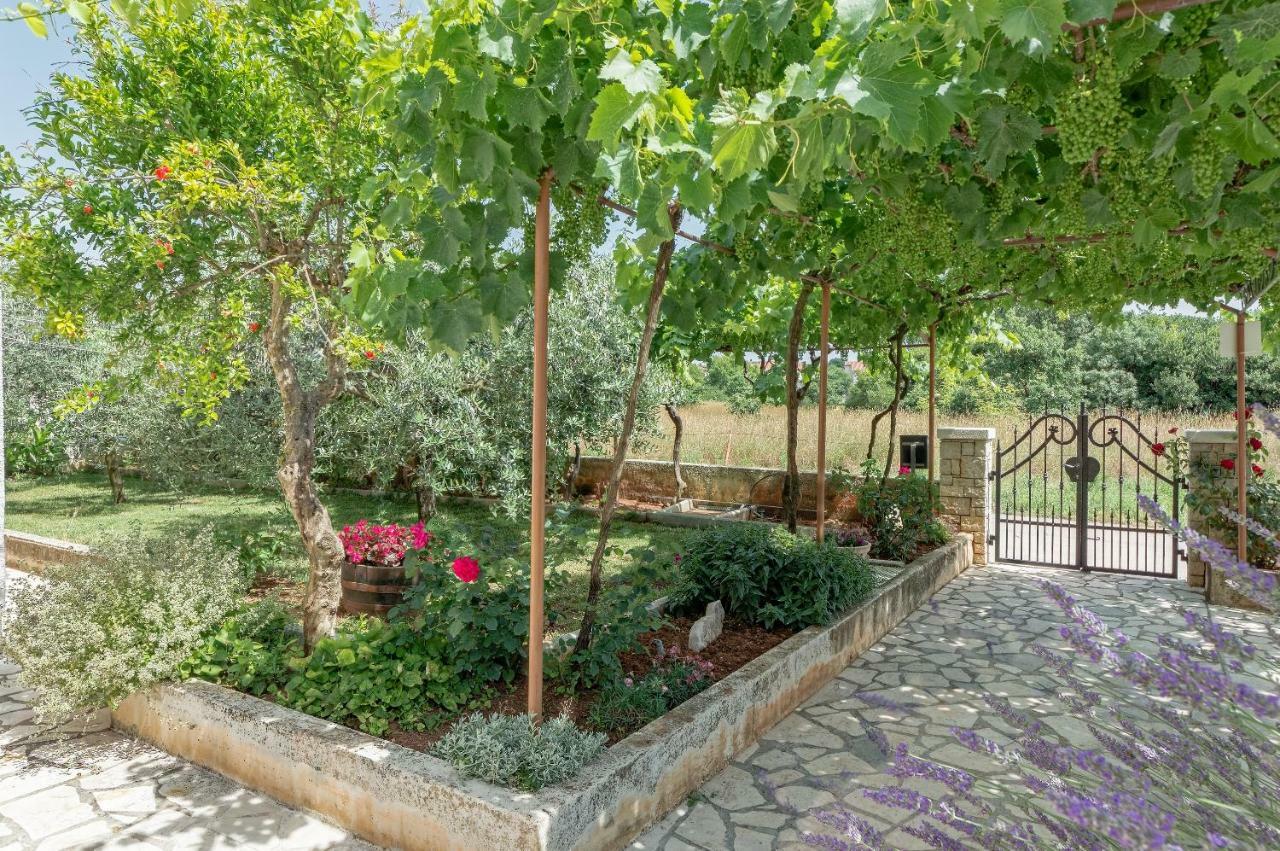 Apartman Inga Apartment Pula